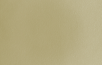 color sandy-brown or soil