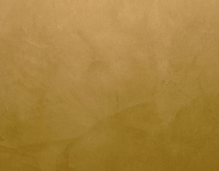 color sandy-brown or soil