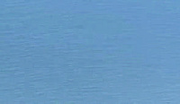 color sandy-brown or soil