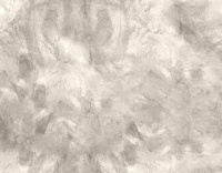 color sandy-brown or soil