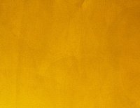 color sandy-brown or soil