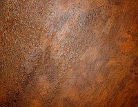 color sandy-brown or soil