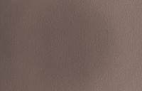 color sandy-brown or soil