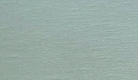 color sandy-brown or soil