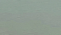 color sandy-brown or soil