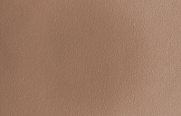 color sandy-brown or soil