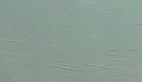 color sandy-brown or soil