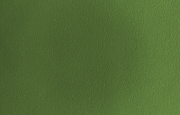 color sandy-brown or soil