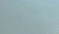color sandy-brown or soil