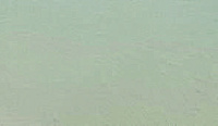 color sandy-brown or soil