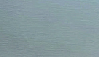 color sandy-brown or soil