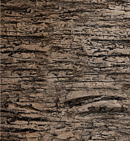 color sandy-brown or soil
