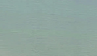 color sandy-brown or soil