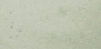 color sandy-brown or soil