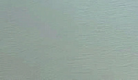 color sandy-brown or soil