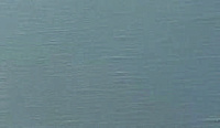 color sandy-brown or soil