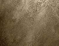 color sandy-brown or soil