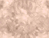 color sandy-brown or soil