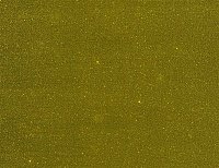 color sandy-brown or soil