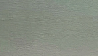 color sandy-brown or soil