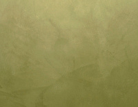 color sandy-brown or soil