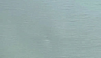color sandy-brown or soil
