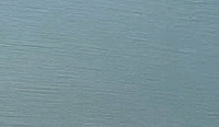 color sandy-brown or soil
