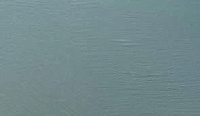 color sandy-brown or soil