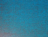 color sandy-brown or soil