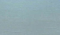 color sandy-brown or soil