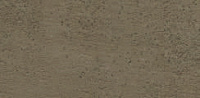color sandy-brown or soil