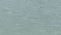 color sandy-brown or soil