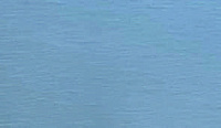 color sandy-brown or soil