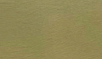 color sandy-brown or soil