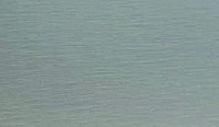 color sandy-brown or soil