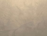 color sandy-brown or soil